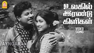 Ulagil Irandu Kiligal - HD Video Song | உலகில் இரண்டு கிளிகள் | Kulama Gunama | Sivaji Ganesan