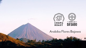 Dagabo - Arabica Flores Bajawa