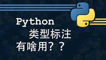 Python类型标注有啥用？