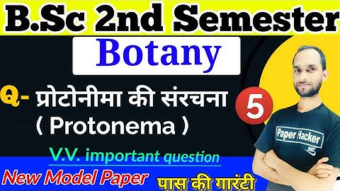 प्रोटोनीमा, Protonema, BSc 2nd semester Botany, Paper Hacker, @paperhacker