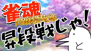 【雀魂】昇段戦やりまーす【四麻 段位戦】#雀魂 #麻雀 #shorts