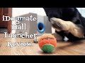 iDogmate Ball Launcher Review - Indoor Fetch