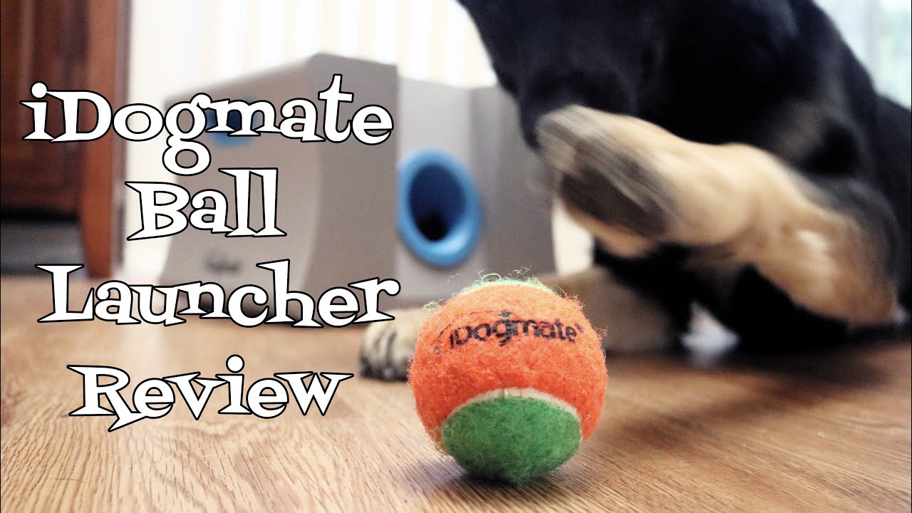 Idogmate Ball Launcher Review Indoor