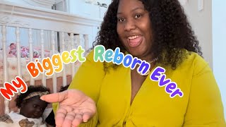 Come Open My Reborn Leonie By Ping Lau