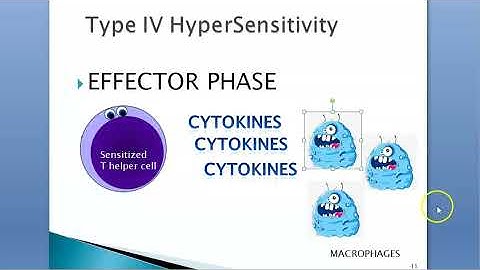 Medicine 087 Interferon INF alpha gamma cytokines