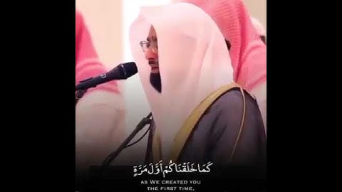 قرآن كريم I الشيخ ناصر القطامي I حالات واتس اب دينية I تلاوة تبكي وتقشعر لها الابدان