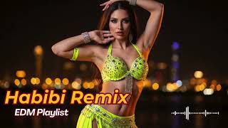 Download Lagu Middle East EDM Party 🎶 | Arabic Habibi Remix 2026 MP3