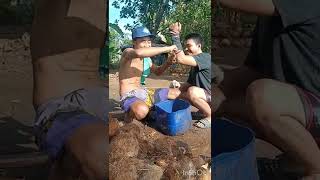 Download Lagu proses pmecahan kelapa di glotok asep prunyus MP3