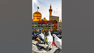 زيارة الإمام علي بن موسى الرضا عليه السلام الحرم الرضوي مشهد مقدس إيران 