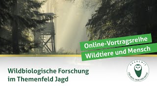 DJV-Online-Vortragsreihe Wildtiere und Mensch | Wildbiologische Forschung im Themenfeld Jagd