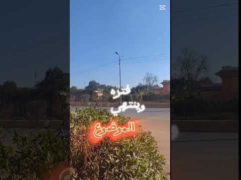 عايز تمشي مش ممنوع الجسمي الجديد