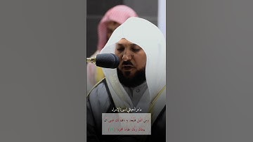 ومن الليل فتهجد به ناقلة لك #ماهر_المعيقلي #معين_الأرواح #سورة_الإسراء #quran