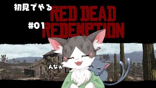 RedDeadRedemption  【RDR】 初見でやるよ！【PART01】
