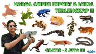 Harga Amfibi (Katak, Salamander, Newt, Caecilian) Hias Lokal & Import di Indonesia LENGKAP !! 🐸