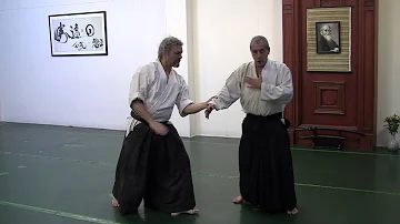 Aikido: The Art of Peace?