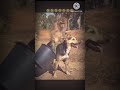 Kutta aur bandar ki masti #Kutta #aur #bandar  #ki #masti #how #shortst