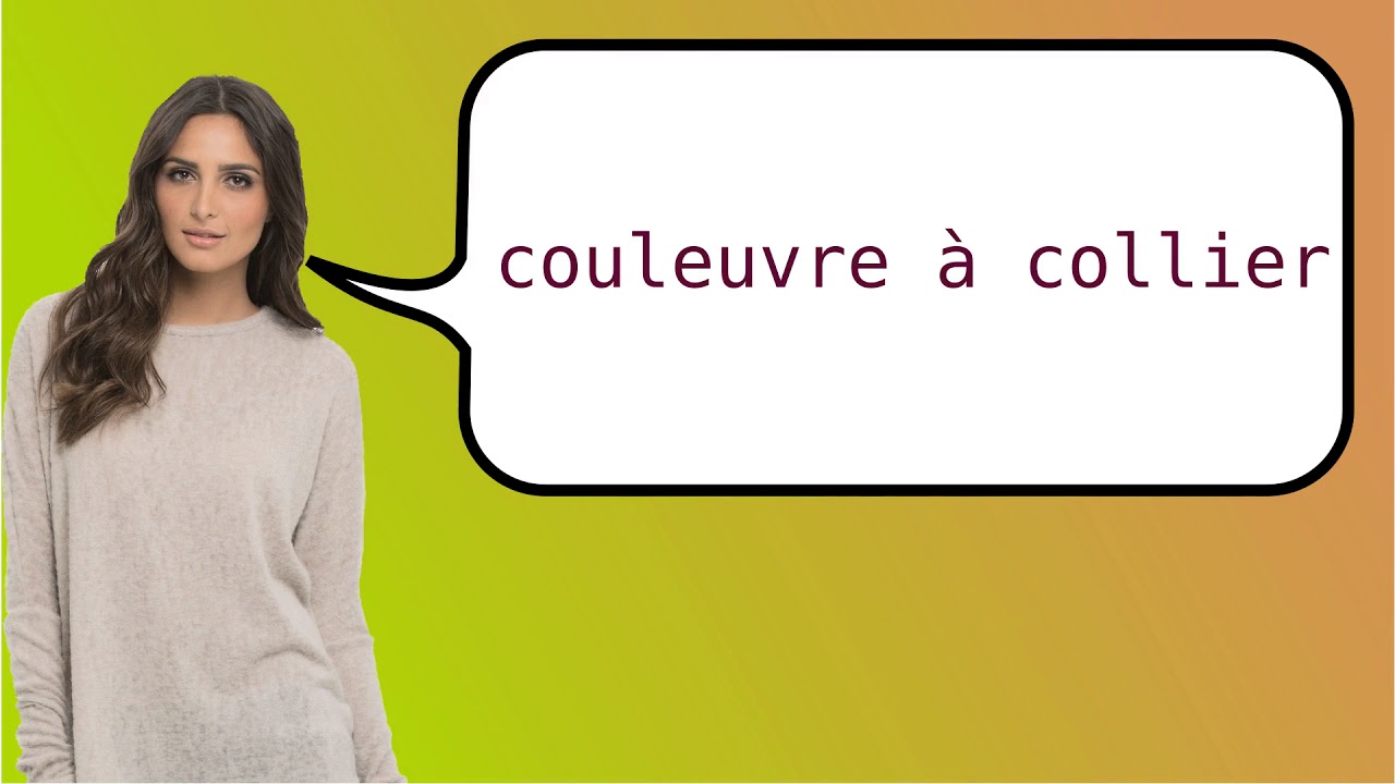 How To Say grass Snake In French YouTube