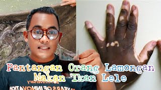 Ikan Lele, Ternyata ini alasan orang lamongan asli pantang makan ikan lele ini alasannya