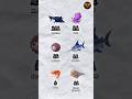 Learn 6 Sea Animals Chinese Words Part 2!🔖 shorts #shorts