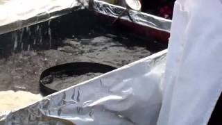 Lexington Barbecue Festival 2015