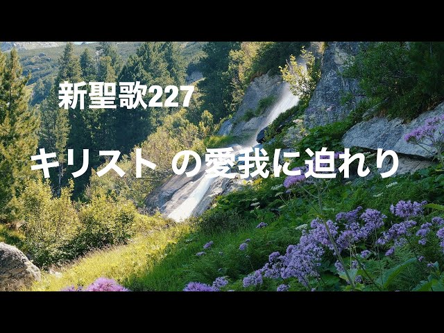 新聖歌227キリスト の愛 我に迫れり - YouTube
