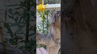 майстерність екологія