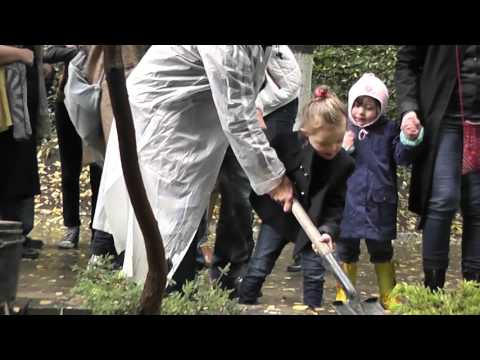 მეგობრების ნერგები მზიურს