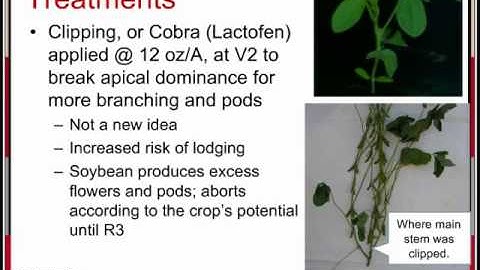 100 Bushel Soybeans by Greg Kruger