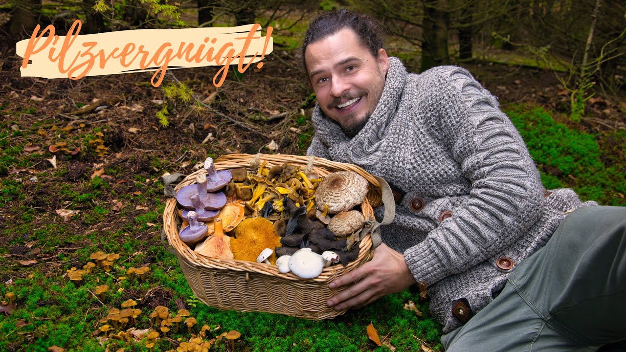 Pilziges SCHLARAFFENLAND im Herbst 2025 🤩 massenhaft Pfifferlinge, seltene Arten & neue Speisepilze!