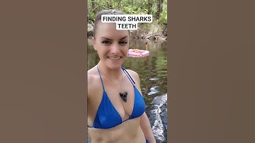 Digging for Sharks Teeth in Florida #fyp #sharkteeth #fossils