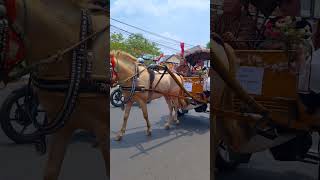 Download Lagu NAIK DELMAN ISTIMEWA - LAGU ANAK MP3 Download Lagu NAIK DELMAN ISTIMEWA - LAGU ANAK MP3