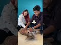       rakib playing with tiger   ritu hossain