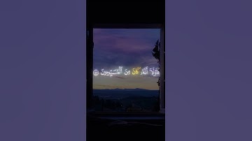 عمير شميم - سورة الصافات