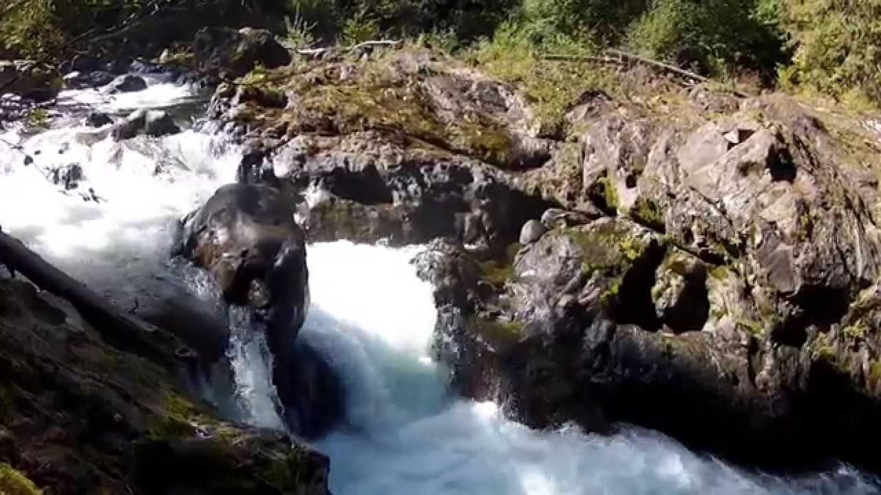 rv life youtube Olympic National Park