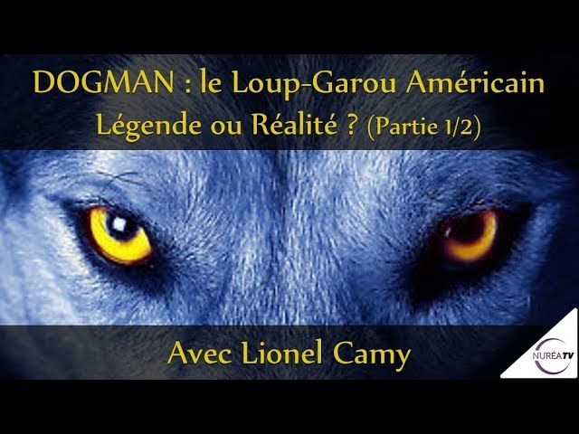 Loup-Garou pour une Nuit  Présentation 8d081e9501ec - Vidéos - Loup-Garou  pour une Nuit (2016) - Jeux d'Ambiance 