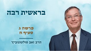 בראשית רבה פרשה ג סעיף ח | הרב זאב סולטנוביץ