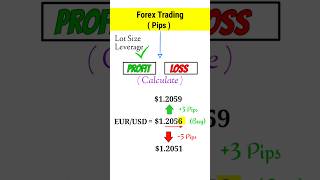 Forex Pips Explained in Hindi | What is Pips in Forex Trading | Pips Calculation #shorts
