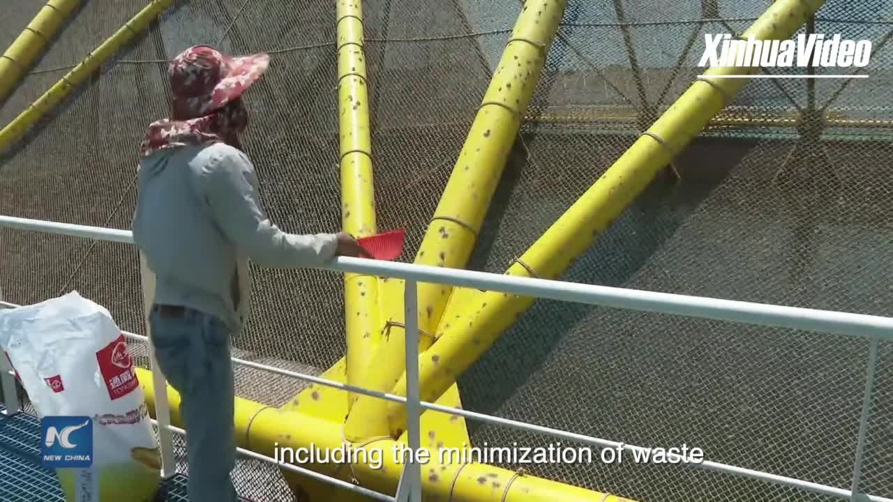 Foreign experts praise China's green aquaculture
