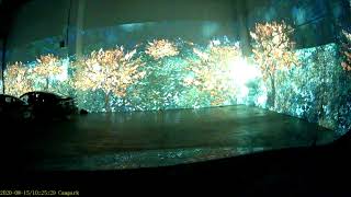 Immersive Vincent Van Gogh Exhibit, Toronto,15.08.2020