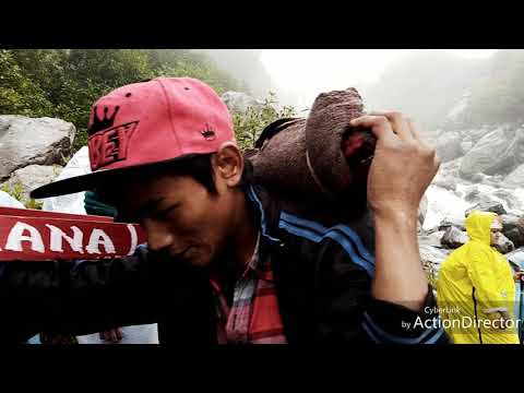 Valley Of flowers National Park. Ghangaria to VOF POV . (Watch at 60 fps)