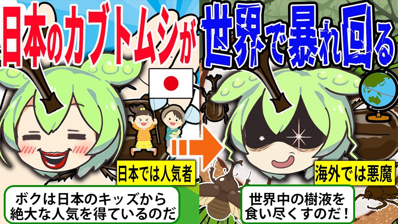 日本人に愛される「カブトムシ」が海外に持ち込まれた結果…果実を食い荒らす悪魔と化していた【ずんだもん＆ゆっくり解説】