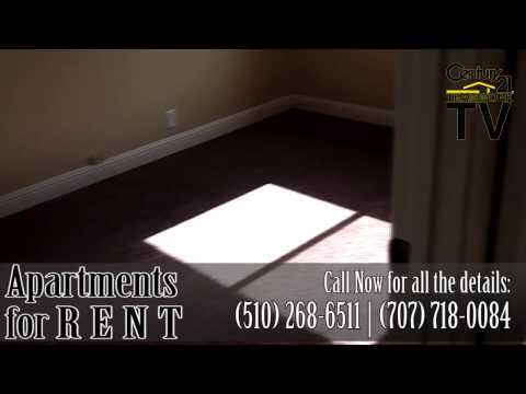 Video Tour of the Apartments in S 26th St in Richm...