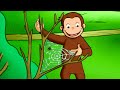 ジョージの大きなクモの巣! 🐵 おさるのジョージ