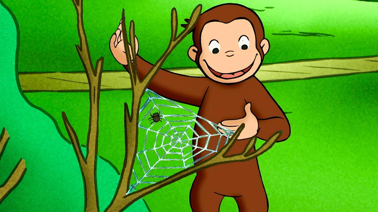 ジョージの大きなクモの巣! 🐵 おさるのジョージ
