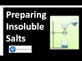 Insoluble Salt Preparation Quiz