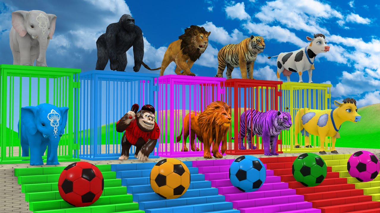 Long Slide Game With Cow Elephant Gorilla Hippopotamus Tiger 3d Animal Game Funny 3d Animals