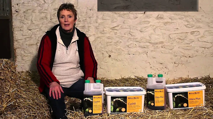 Cush X (UK) Vitex Plus (USA) - Herbal Special Support Supplement for Horses - Product Description