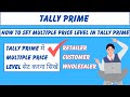 How to Create Price Level List in Tally Prime in Hindi | Multiple Price Level in Tally Prime