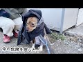 犬がものすごい声で大叫び…なんとか緊急対処した日のこと