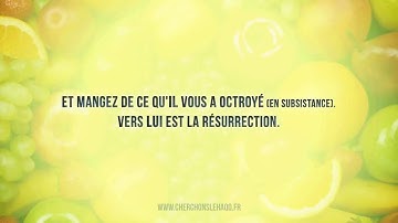 Sourate 67   AL MULK ( La Royauté  )    سورة الملك